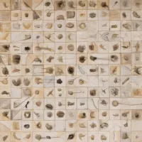 Obra de titulada GNESIS 169/1000