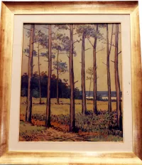 Obra de titulada PINARES DE PUNTA DEL ESTE